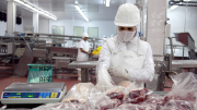 Por la mejora del precio mundial, exportaciones de carne subieron casi 40 por ciento