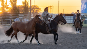 La fiesta de los caballos criollos, ya está en la Rural