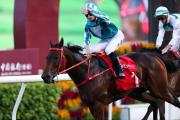 Romantic Warrior deslumbra en la Copa BOCHK Jockey Club disputada en Sha Tin