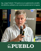 Ing. Jorge Foderé: “El lupino es un suplemento versátil, de altísima calidad y con enorme potencial en Uruguay” ‣ Martin Ferreira Pinto