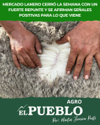Repunte del mercado lanero: IME sube y crece la demanda global ‣ Martin Ferreira Pinto