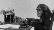 La teoría del mono: el animal que puede escribir un obra entera