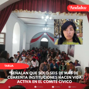 Señalan que solo seis de más de cuarenta instituciones hacen vida activa en el Comité Cívico