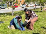 Realizan plantación simbólica para conmemorar el Día Internacional contra la Violencia hacia la Mujer