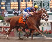 ¡Lamentable noticia! La heroína Rags To Riches vencedora del Belmont Stakes ha fallecido