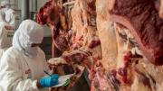 Pese a restricciones, exportaciones de carne crecieron 7,6% en 2025
