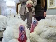 Trump viaja a Mar-a-Lago por Acción de Gracias: primero indulta a Waddle y Gobble, dos pavos en la Casa Blanca