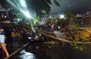 Rama de árbol de 15 metros cayó sobre un vehículo y dejó un herido en Petare