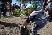 Aragua cerró Jornada de Reforestación con más de 39.000 árboles plantados