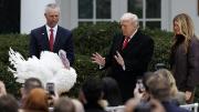 VIDEO VIRAL: El 'indulto' de Trump a dos pavos en ceremonia previa al Día de Acción de Gracias