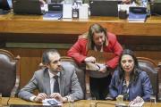 Presupuesto se va a comisión mixta por discrepancias en 14 artículos entre el Senado y la Cámara