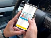 Le sacarán la licencia de conducir a quienes cometan delitos con autos o motos