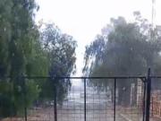 Del calor extremo al temporal: lluvia y granizo en Cuyo y más de 35° en el norte del país