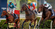 Los sensacionales Romantic Warrior, Ka Ying Rising y Voyage Bubble están listos para el LONGINES Hong Kong International Races