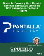 Bertsch, Correa y San Román hoy con destacada oferta de 650 vacunos en Pantalla Uruguay ‣ Martin Ferreira Pinto
