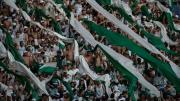 Un hincha de Palmeiras falleció en Lima al caer de un bus antes de la final de la Copa Libertadores