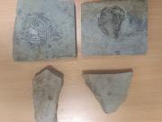 Revisaron su auto y hallaron una intrigante colección de fósiles de más de 500 millones de años: Dijo que eran regalos para sus amigos