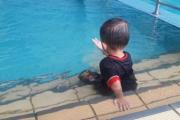 Tragedia en su cumpleaños: un niño de 5 años murió ahogado
