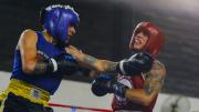 Gran velada de boxeo amateur con campeones del Guantes de Oro y ganadores del Selectivo Regional
