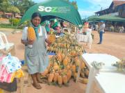 Ascensión de Guarayos se consolida como la capital de la piña