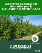 ¡Cobraron subsidio los afectados por la CALAMIDAD CITRICOLA! ‣ Emilio Gancedo
