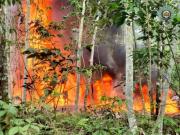 Desmantelan 18 laboratorios móviles y queman 3.100 litros de pasta base en el Chapare