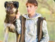 Descubra como proteger a su mascota frente al estrés de los fuegos artificiales durante las festividades navideñas