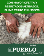 Con mayor oferta y resultados altibajos, el IME cerró en US$ 9,78 ‣ Martin Ferreira Pinto