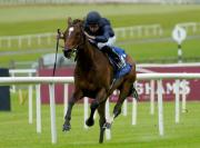 Uno de los mejores jockeys del mundo vuelve este miércoles