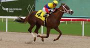 ¡Doble y Liderato! Emisael Jaramillo arranca el meeting de Gulfstream Park con gran ímpetu