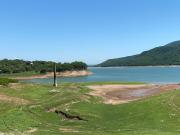 A beber agua tranquilos, pero sólo de red