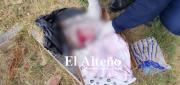 ENCUENTRAN BEBÉ SIN VIDA DENTRO DE UNA CAJA EN CEMENTERIO DE COCHABAMBA