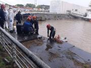 Investigan si un hombre se quitó la vida luego de perder en el Casino Flotante