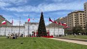 Más de 15 metros y 40 mil luces: así será el árbol de Navidad en Plaza de la Constitución (y hasta cuándo se encenderá)