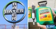 Bayer se disparó en bolsa luego que el gobierno de EEUU mostrara su apoyo al cuestionado glifosato