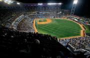 LVBP confirma su compromiso para organizar la Serie del Caribe 2026