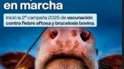 Agro: Misiones avanza con la campaña de vacunación contra la fiebre aftosa, la brucelosis y enfermedades emergentes