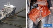 No se imaginan cuánta sangre humana lleva: The Guardian recoge cuestionamientos al salmón chileno