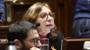 Ana Olivera se cayó en la Cámara de Diputados, se pegó en la cabeza y se suspendió la sesión