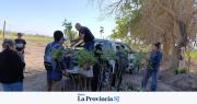 Sembrando futuro: jóvenes de Jáchal aprenden a producir pistacho, la joya agrícola de San Juan