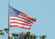 Cifra récord: más de 1,1 millones de personas fueron despedidas en Estados Unidos en 2025