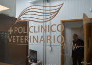 Compromiso universitario en territorio /Policlínico Veterinario presente en apertura del Congreso del IIUS