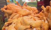Precio del kilo de pollo en mercados cruceños baja a Bs 18,50
