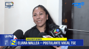 Eliana Mallea se convierte en la primera postulante a vocal del TSE
