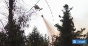 La Araucanía está con alerta preventiva por amenaza de incendios forestales ante altas temperaturas