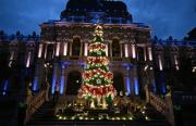 La Casa de Gobierno se iluminó con un nuevo Árbol de Navidad