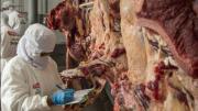 Bolivia obtiene certificación Halal para exportar carne de res y pollo a Egipto