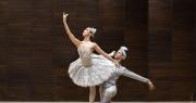 Vuelve el ballet al Teatro Argentino de La Plata con la suite de La Bayadera