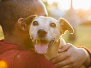 Perros contra psicópatas