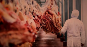 La carne de Bolivia se alista para llegar a Egipto, un mercado que cuadriplica la exportación del país